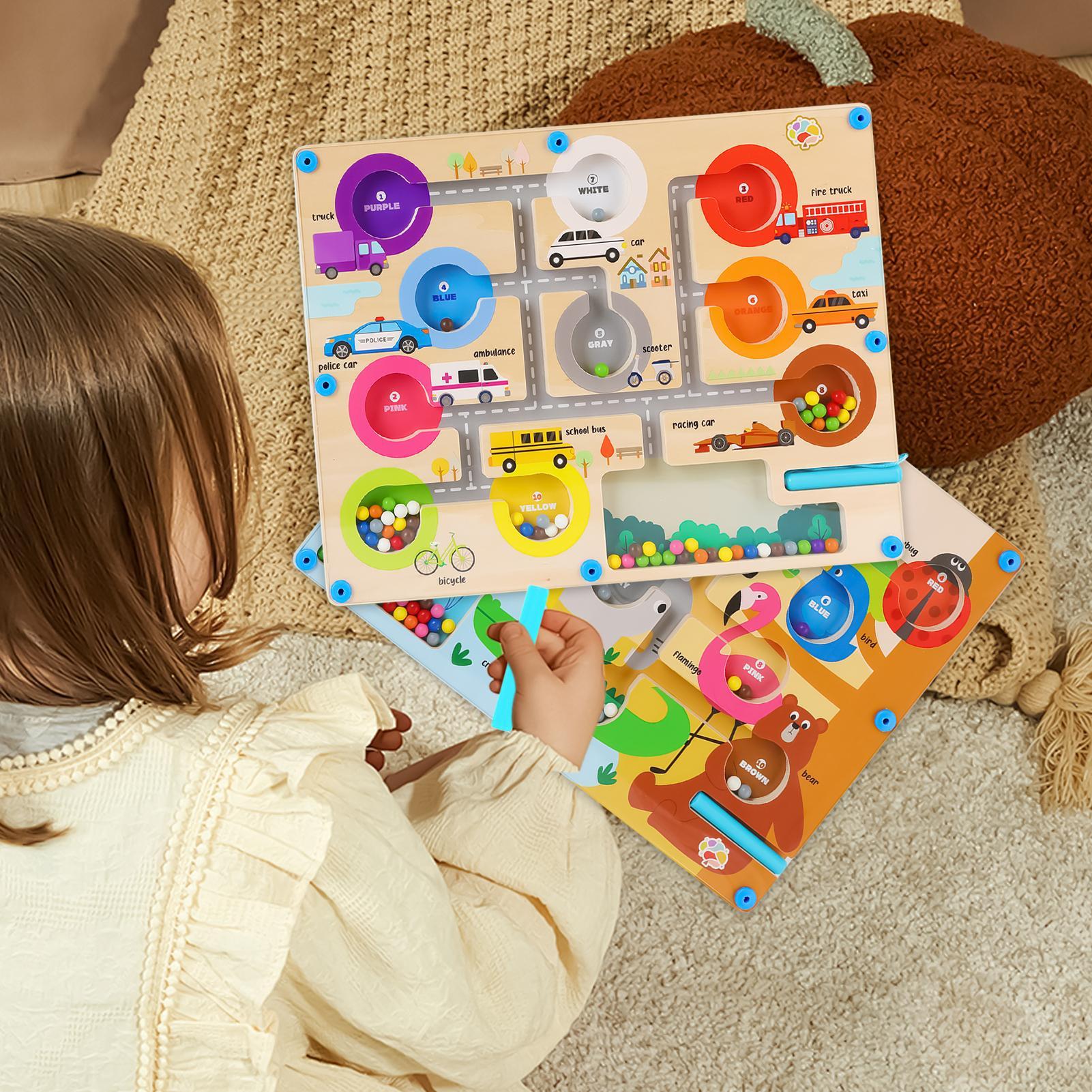 Board Game Education - Manyetik Labirent Manyetik Labirent Bulmaca Tahtası