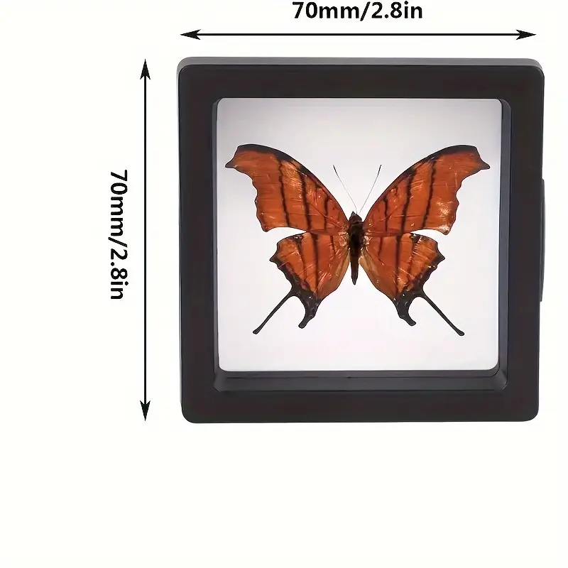 20 adet Clearview 3D Yüzen Vit - Token Tray Organizer incelemesi ve fiyatı